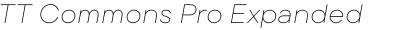 TT Commons Pro Expanded Thin Italic